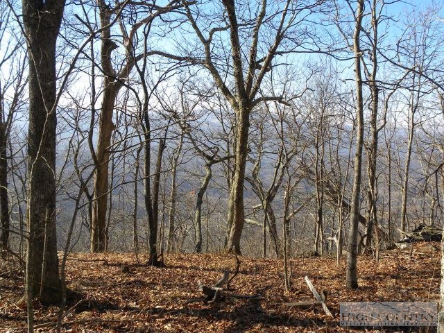 Lot 13 Saddle Road Boone, NC 28607 - Photo 2 of 4 a backyard of a house with lots of green space