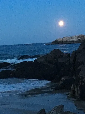 $3,375 | 22 Morse Court, Unit A, Manchester, MA 01944