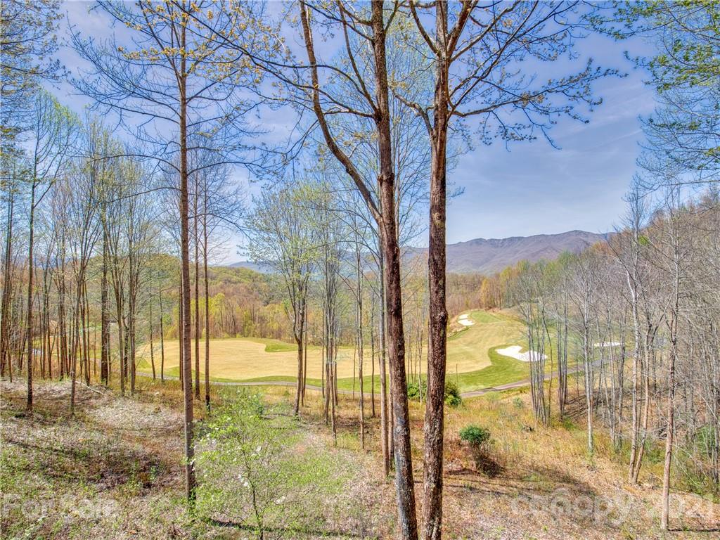 1753 High Line Road, Unit 62 Sylva, NC 28779 - Photo 9 of 44 Gallery Image 9