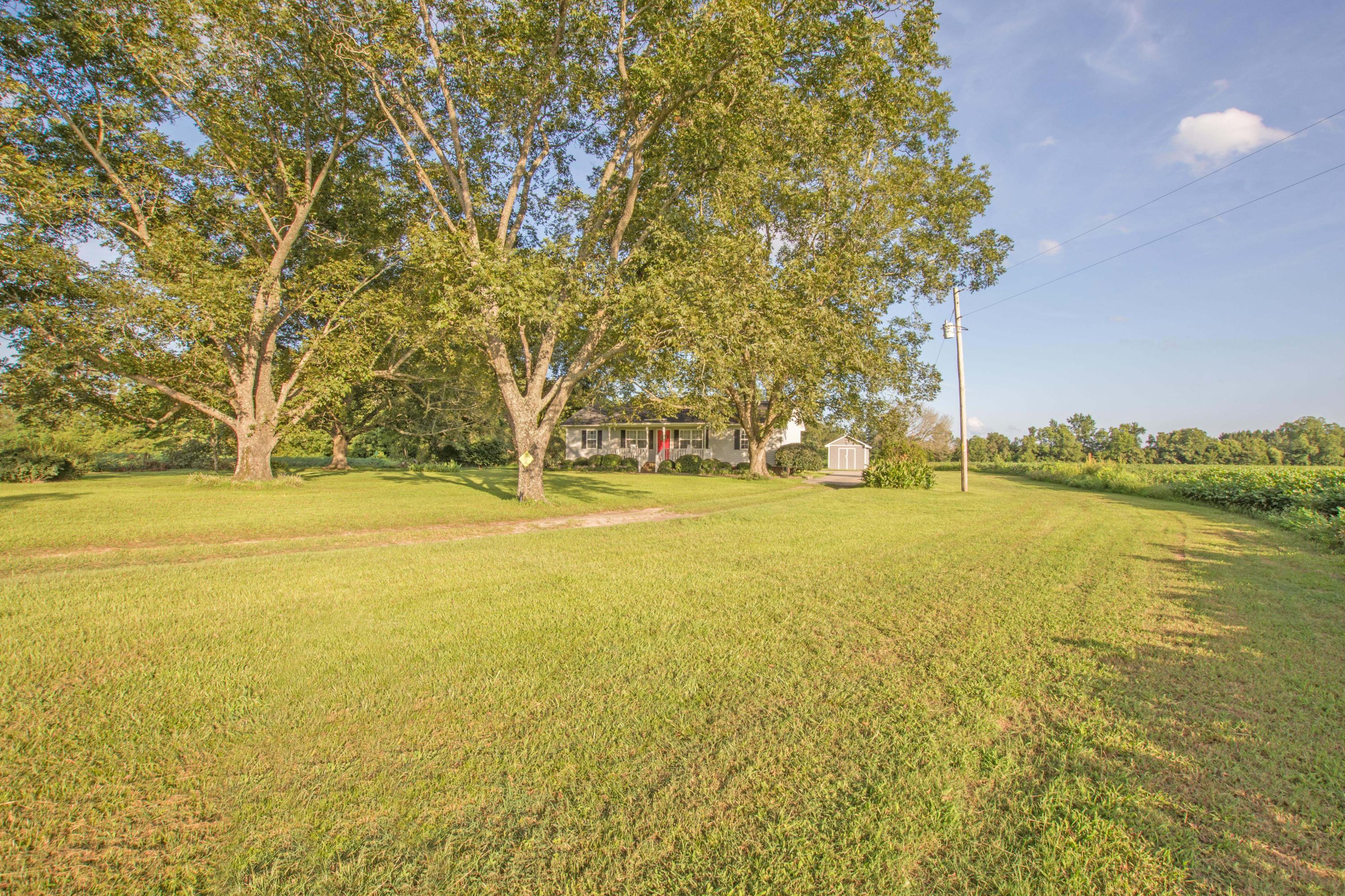 817 Pickett Level Road Elloree, SC 29047 - Photo 35 of 39 817 Pickett level rd 1-16