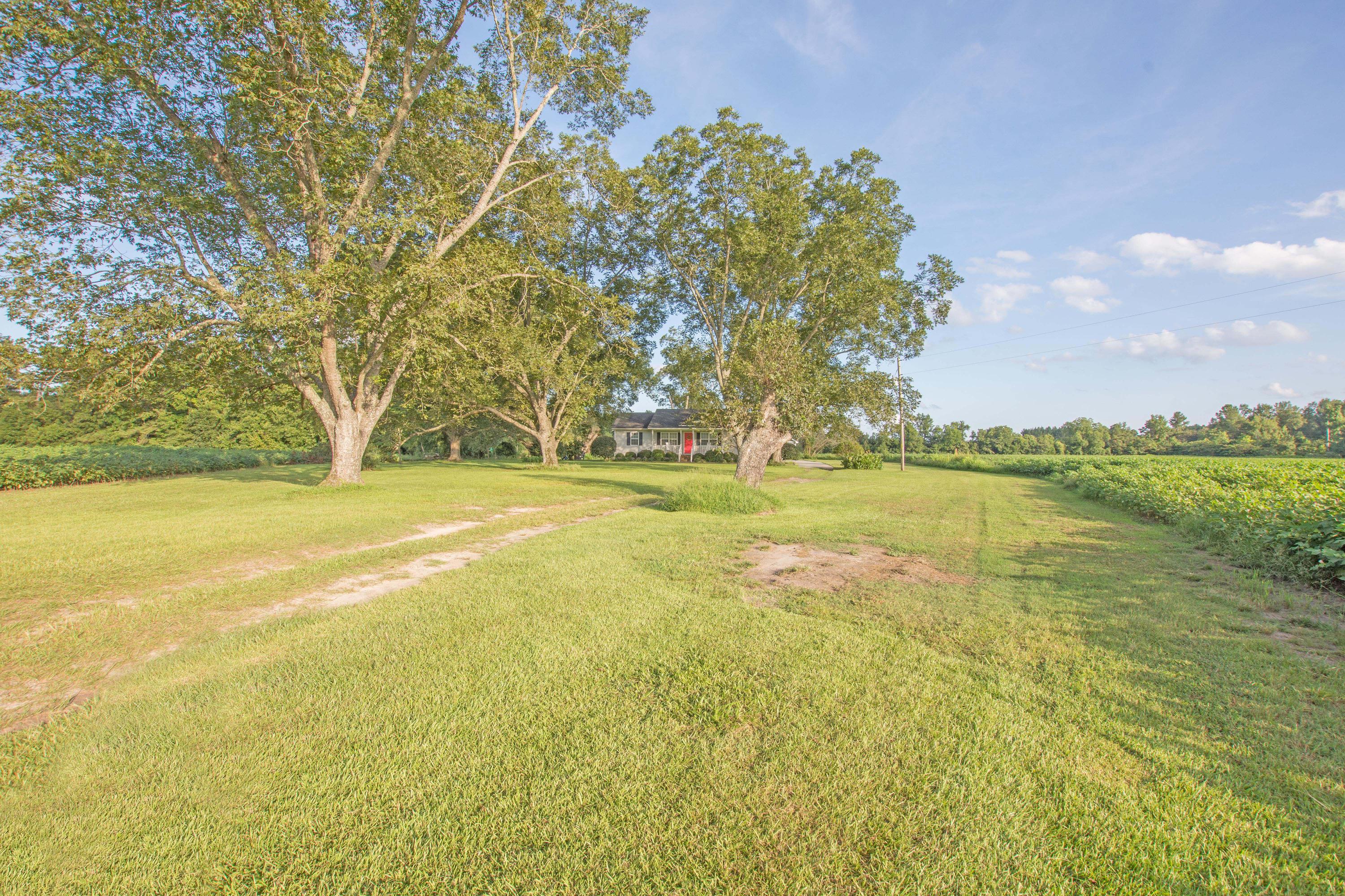 817 Pickett Level Road Elloree, SC 29047 - Photo 36 of 39 817 Pickett level rd 1-1