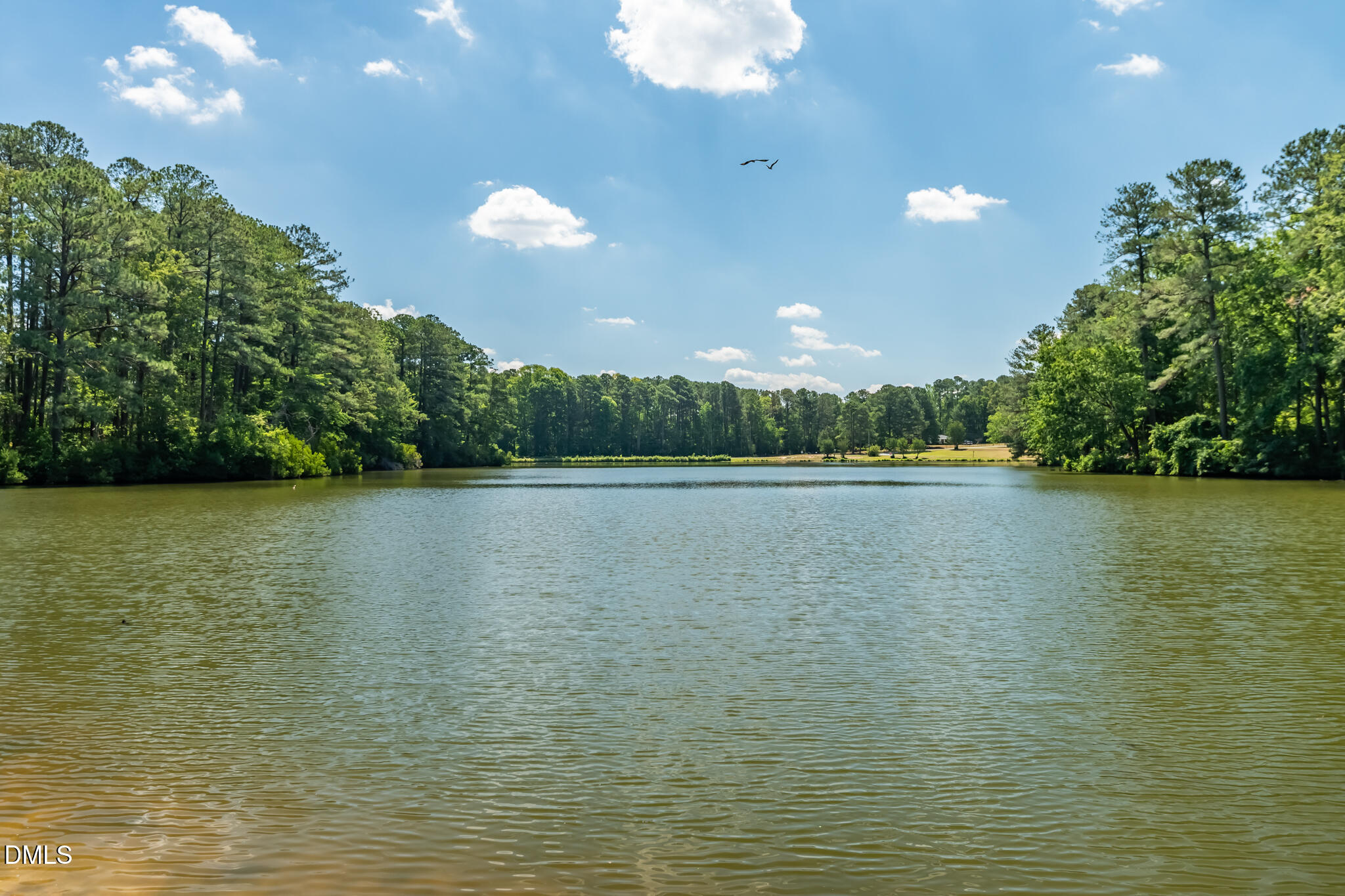 3565 Sugar Tree Place Durham, NC 27713 - Photo 43 of 45