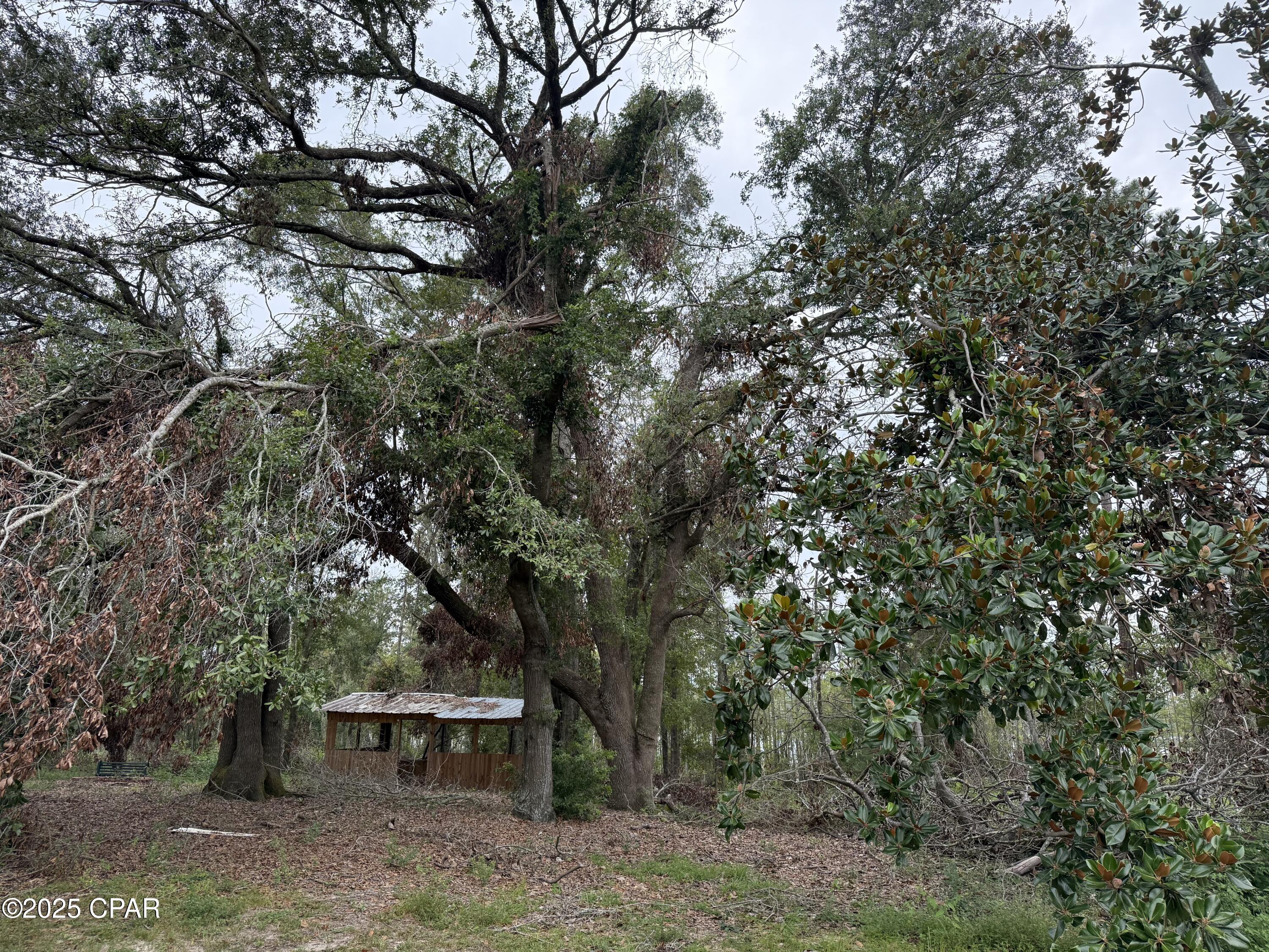 3381 Highway 2 Bonifay, FL 32425 - Photo 38 of 40