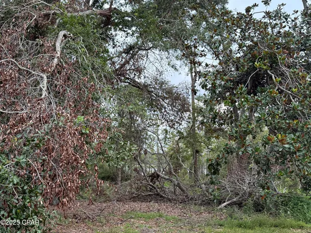 $345,000 | 3381 Highway 2, Bonifay, FL 32425