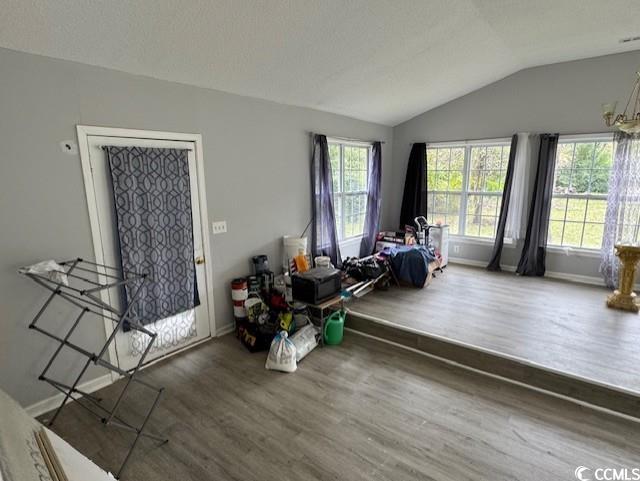 15 Mango Street Andrews, SC 29510 - Photo 17 of 26 Living area with wood finished floors, lofted ceiling, plenty of natural light, and a chandelier