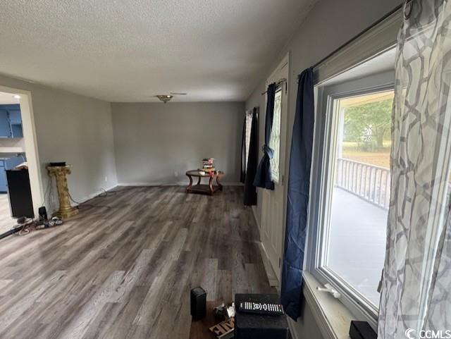 15 Mango Street Andrews, SC 29510 - Photo 21 of 26 Unfurnished living room with plenty of natural light, wood finished floors, and a textured ceiling