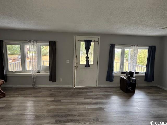 15 Mango Street Andrews, SC 29510 - Photo 22 of 26 Foyer with a textured ceiling, healthy amount of natural light, and wood finished floors