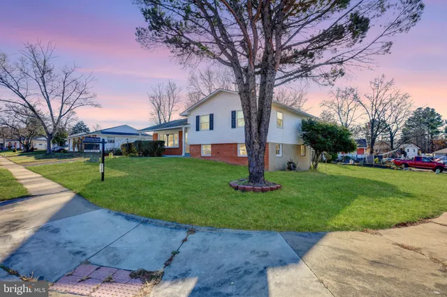 a tree in front of a white house