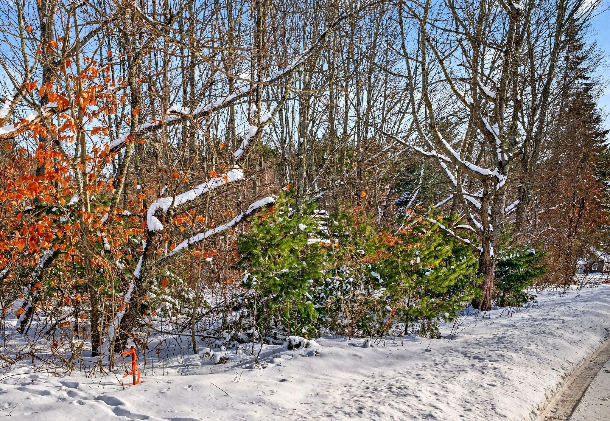 61 Woodside Road Brunswick, ME 04011 - Photo 6 of 12 61 Woodside2_DSC05853