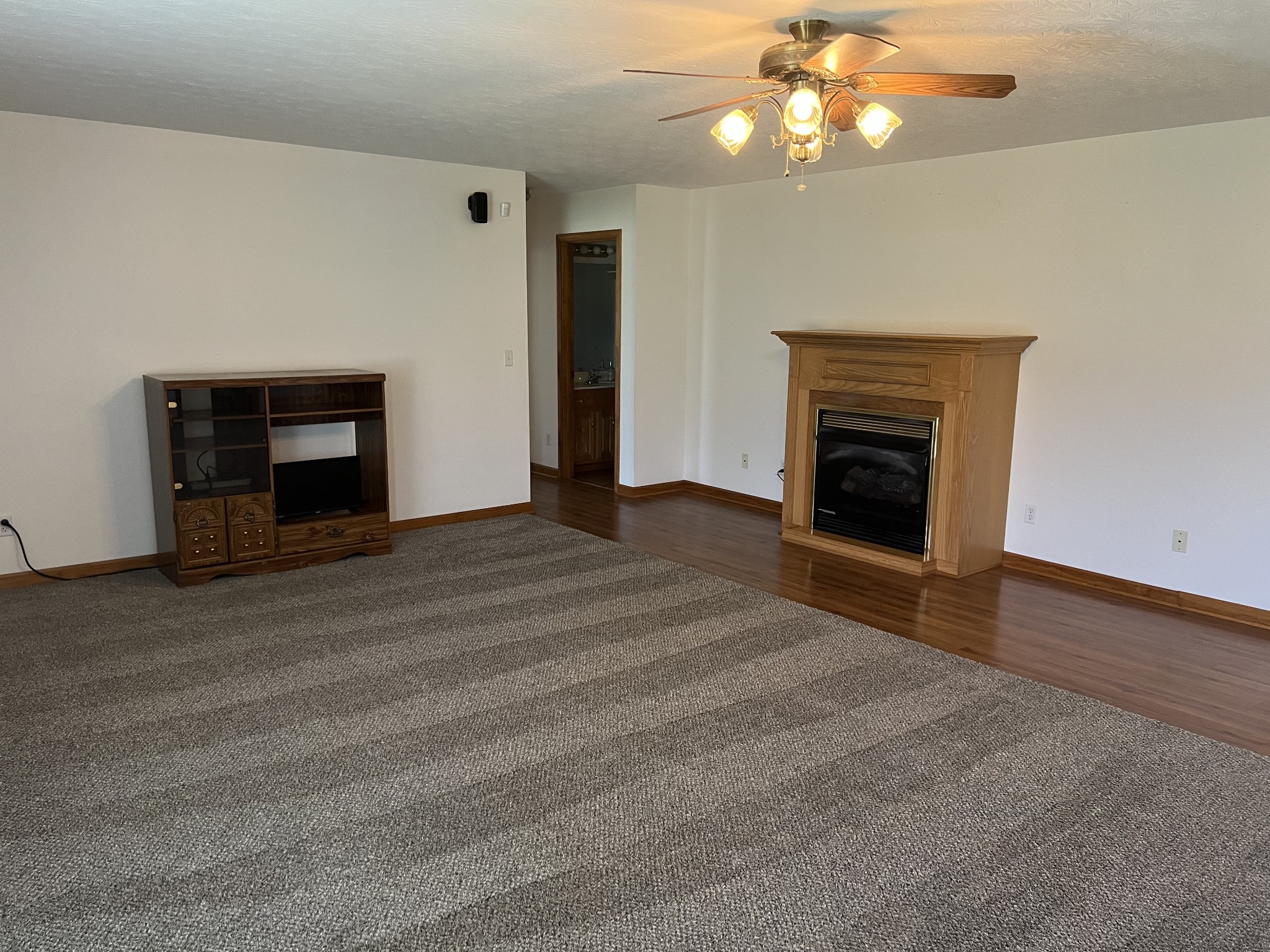 152 Bosham Road Westmoreland, TN 37186 - Photo 11 of 53 a view of empty room with fireplace and wooden floor