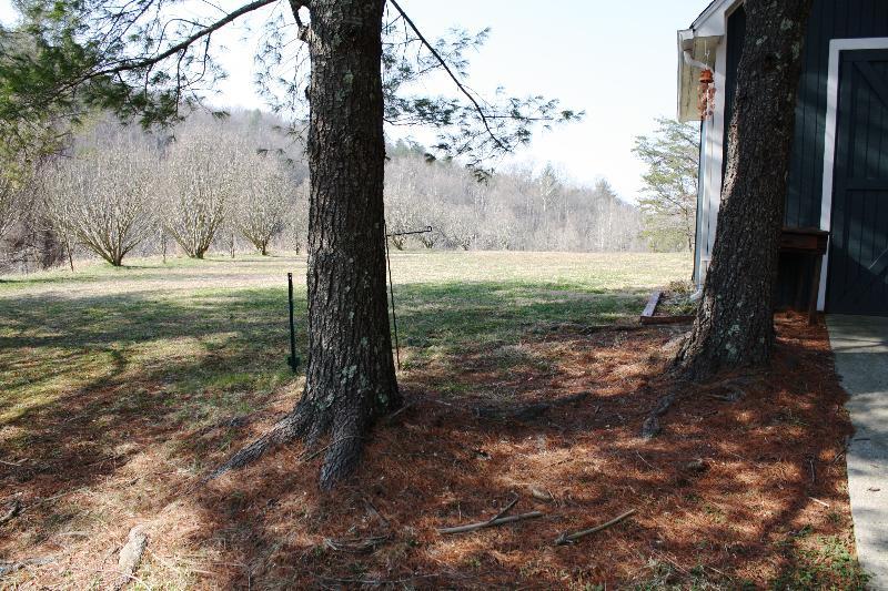 4912 Ferguson Valley Road Roanoke, VA 24014 - Photo 2 of 52 Adjoining Lot (2)
