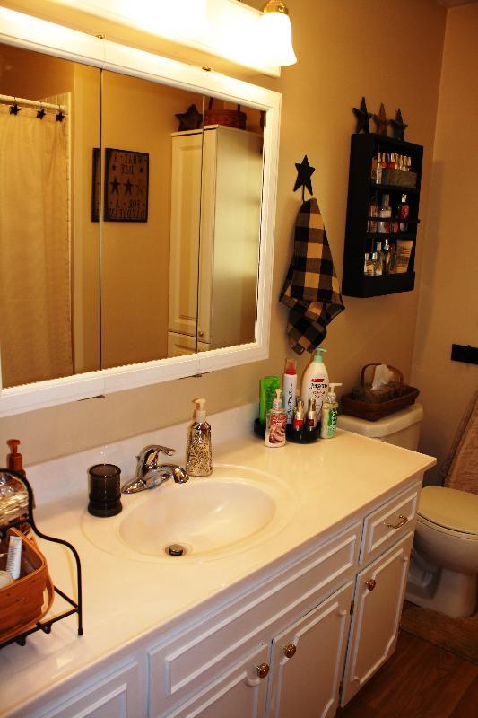 4912 Ferguson Valley Road Roanoke, VA 24014 - Photo 26 of 52 Full Bath (3)