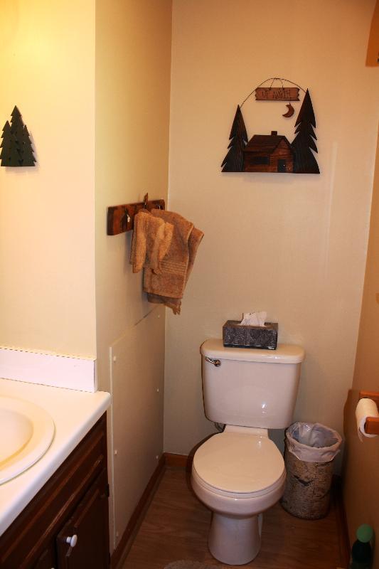 4912 Ferguson Valley Road Roanoke, VA 24014 - Photo 29 of 52 Master Half Bath