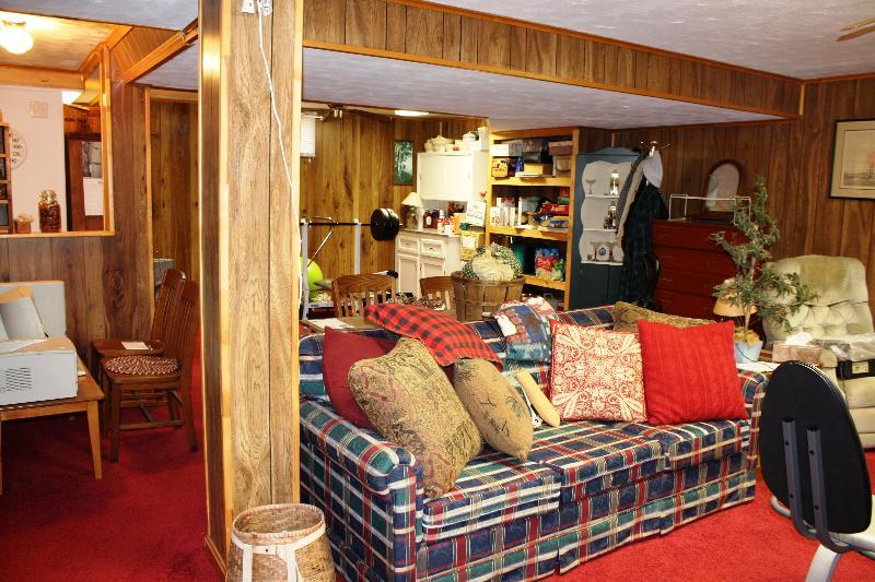 4912 Ferguson Valley Road Roanoke, VA 24014 - Photo 30 of 52 Lower Level