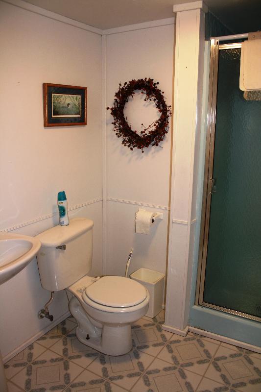 4912 Ferguson Valley Road Roanoke, VA 24014 - Photo 34 of 52 Full Bath_Lower Level
