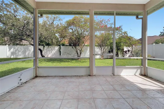 a view of a garden with tall trees