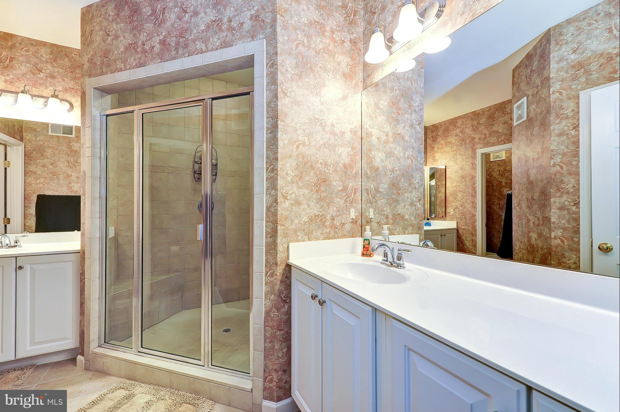 41888 Inspiration Terrace Aldie, VA 20105 - Photo 23 of 30 a bathroom with a sink and a mirror