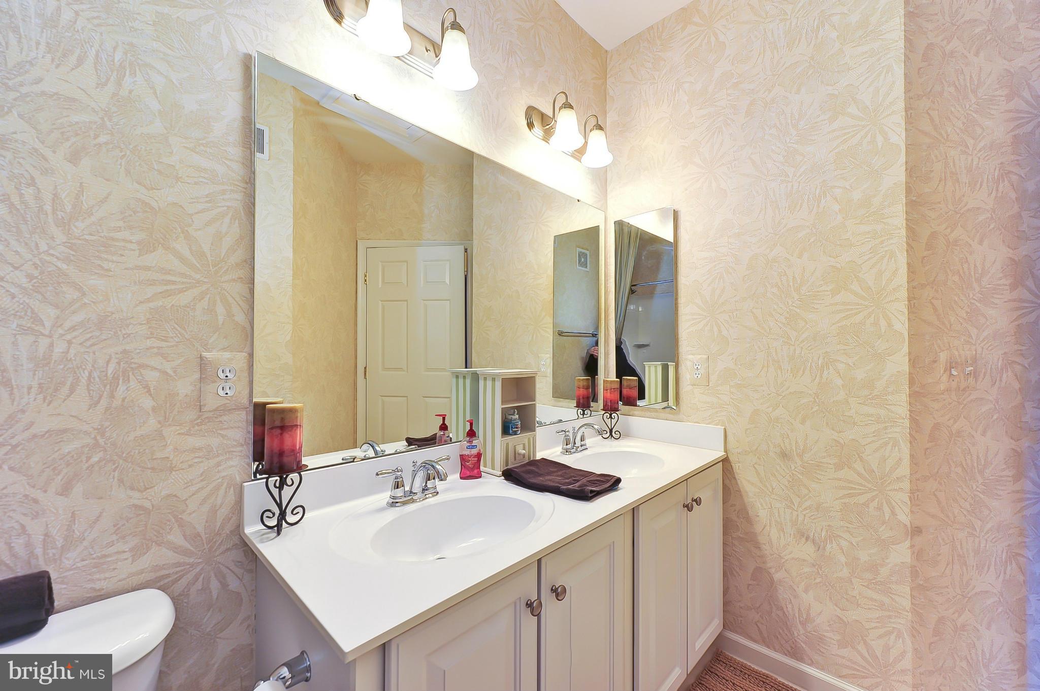 41888 Inspiration Terrace Aldie, VA 20105 - Photo 30 of 30 a bathroom with a sink and a mirror
