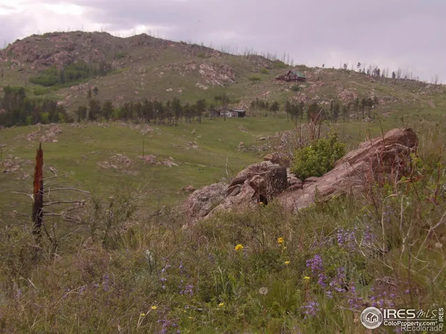 a view of a lake with a mountain in the background