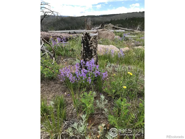 $340,000 | 3434 Davis Ranch Road, Bellvue, CO 80512