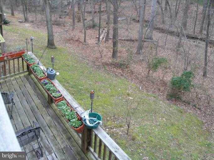 2238 Cedar Cove Court Reston, VA 20191 - Photo 22 of 30 View from MBR Deck