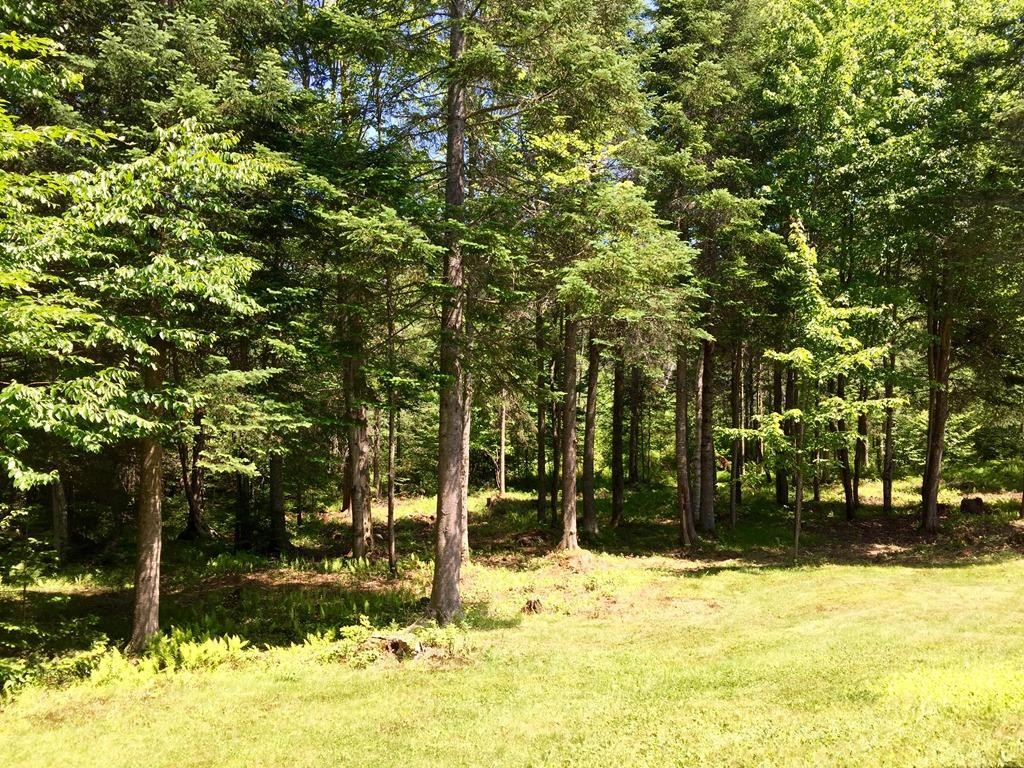 93 Nason Road Sugar Hill, NH 03586 - Photo 29 of 36 Gallery Image 29