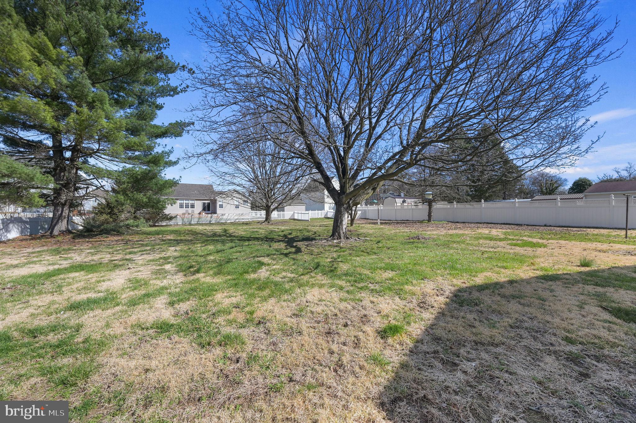 1119 Bison Road Dover, DE 19904 - Photo 4 of 26 Spacious yard with mature trees.