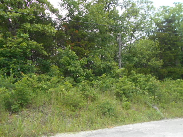 DSCN8018