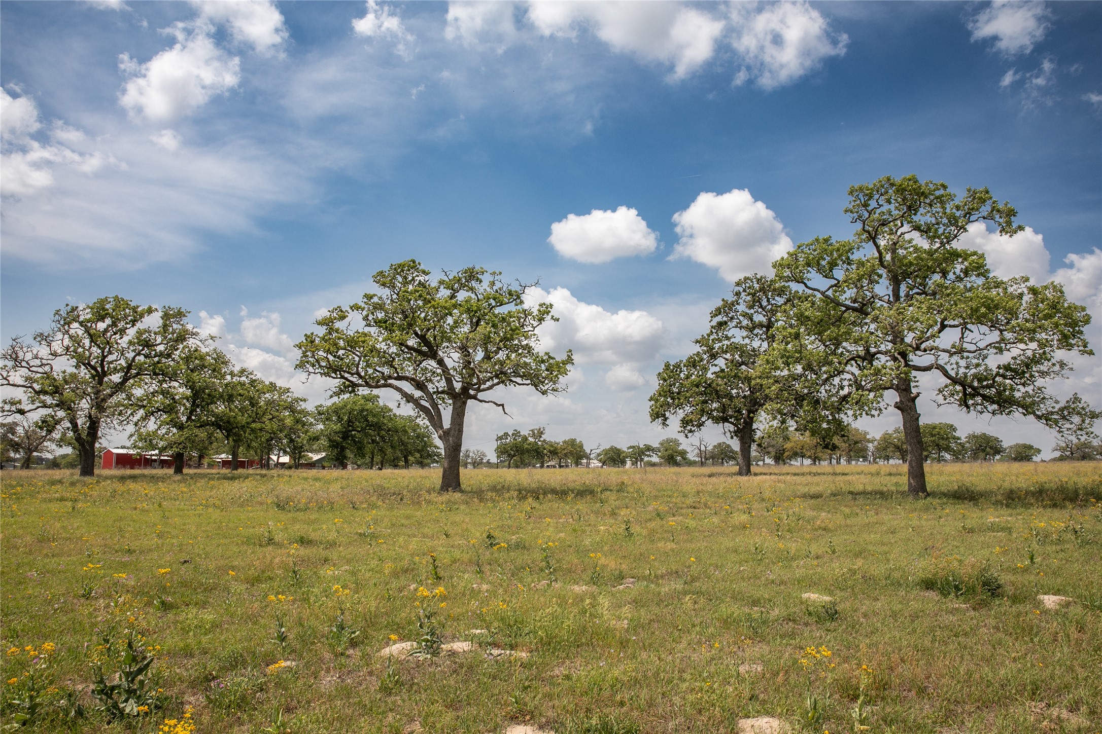 4254 FM 180 Road Ledbetter, TX 78946 - Photo 2 of 18 a view of yard with green space
