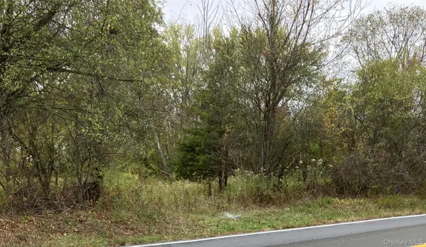 $175,000 | 3346 Highway 207, Goshen, NY 10924