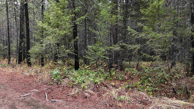 $199,997 | 14506 Moonlight Lane, Newport, WA 99156