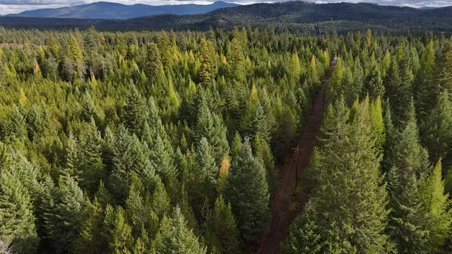 $199,997 | 14506 Moonlight Lane, Newport, WA 99156