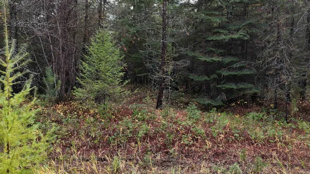 $199,997 | 14506 Moonlight Lane, Newport, WA 99156