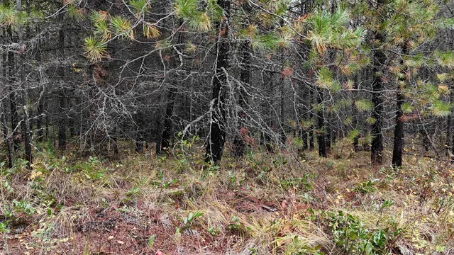 $199,997 | 14506 Moonlight Lane, Newport, WA 99156