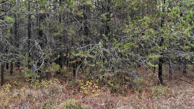 $199,997 | 14506 Moonlight Lane, Newport, WA 99156