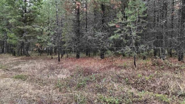 $199,997 | 14506 Moonlight Lane, Newport, WA 99156