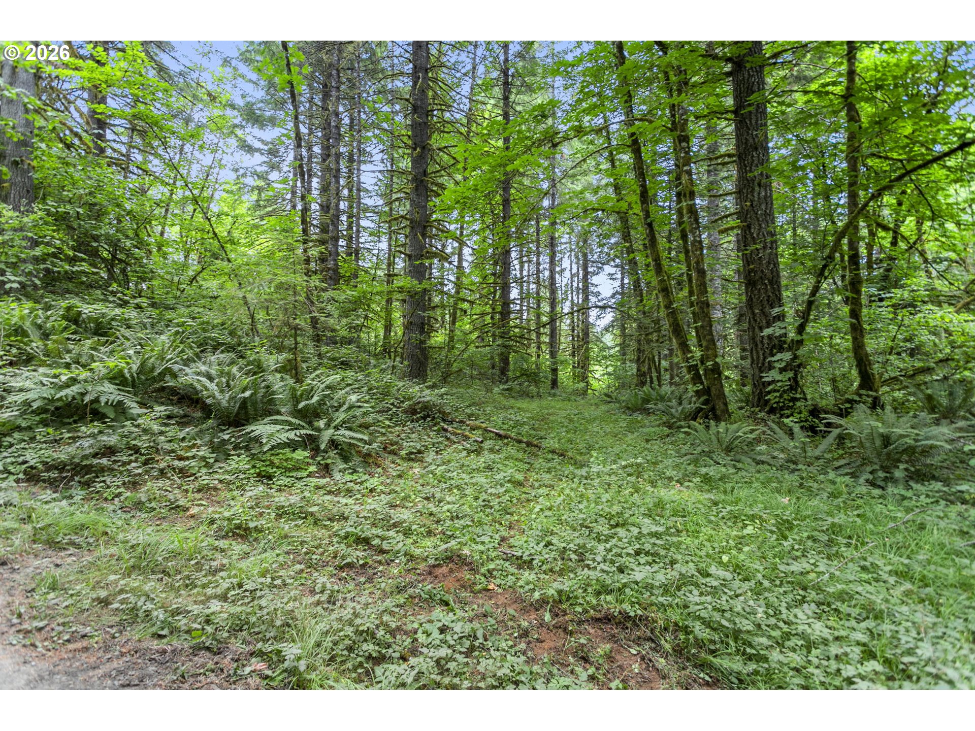 56570 Northwest Strassel Road Forest Grove, OR 97116 - Photo 3 of 21