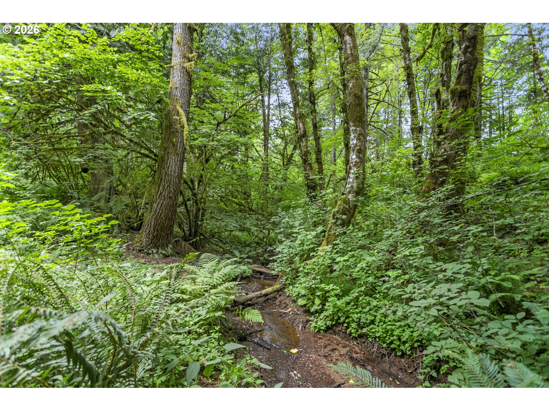 56570 Northwest Strassel Road Forest Grove, OR 97116 - Photo 4 of 21
