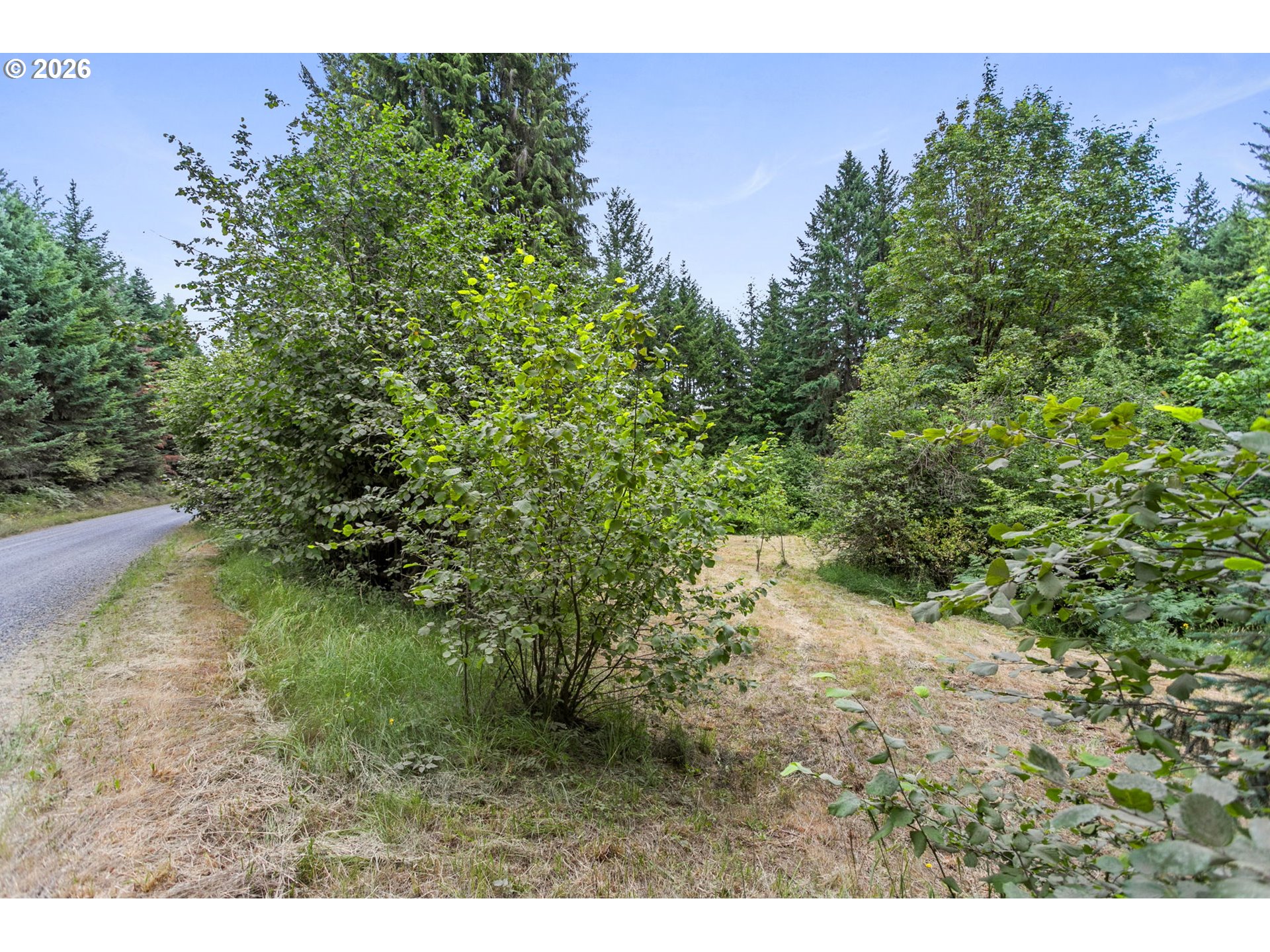 56570 Northwest Strassel Road Forest Grove, OR 97116 - Photo 6 of 21