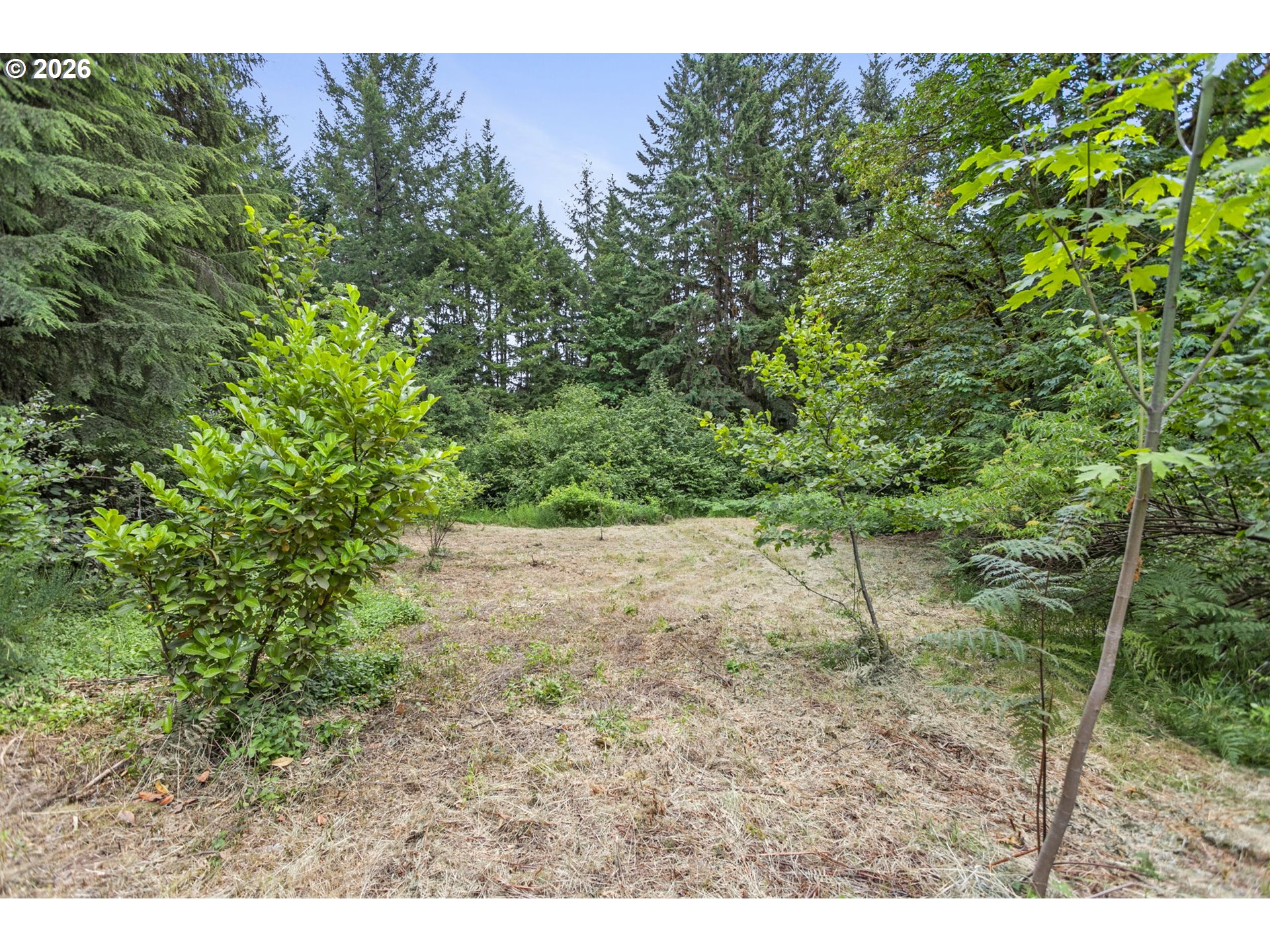 56570 Northwest Strassel Road Forest Grove, OR 97116 - Photo 8 of 21