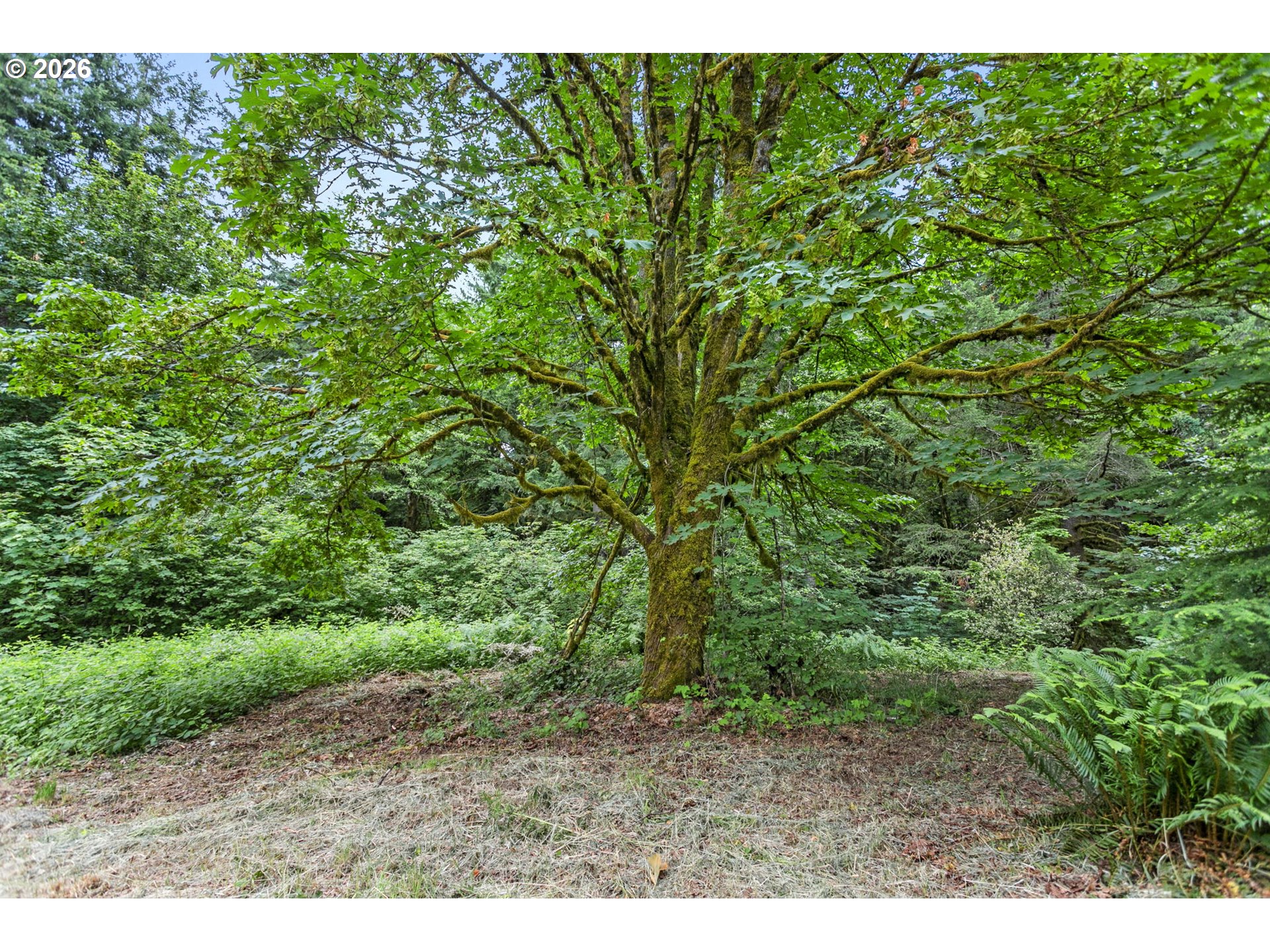56570 Northwest Strassel Road Forest Grove, OR 97116 - Photo 9 of 21