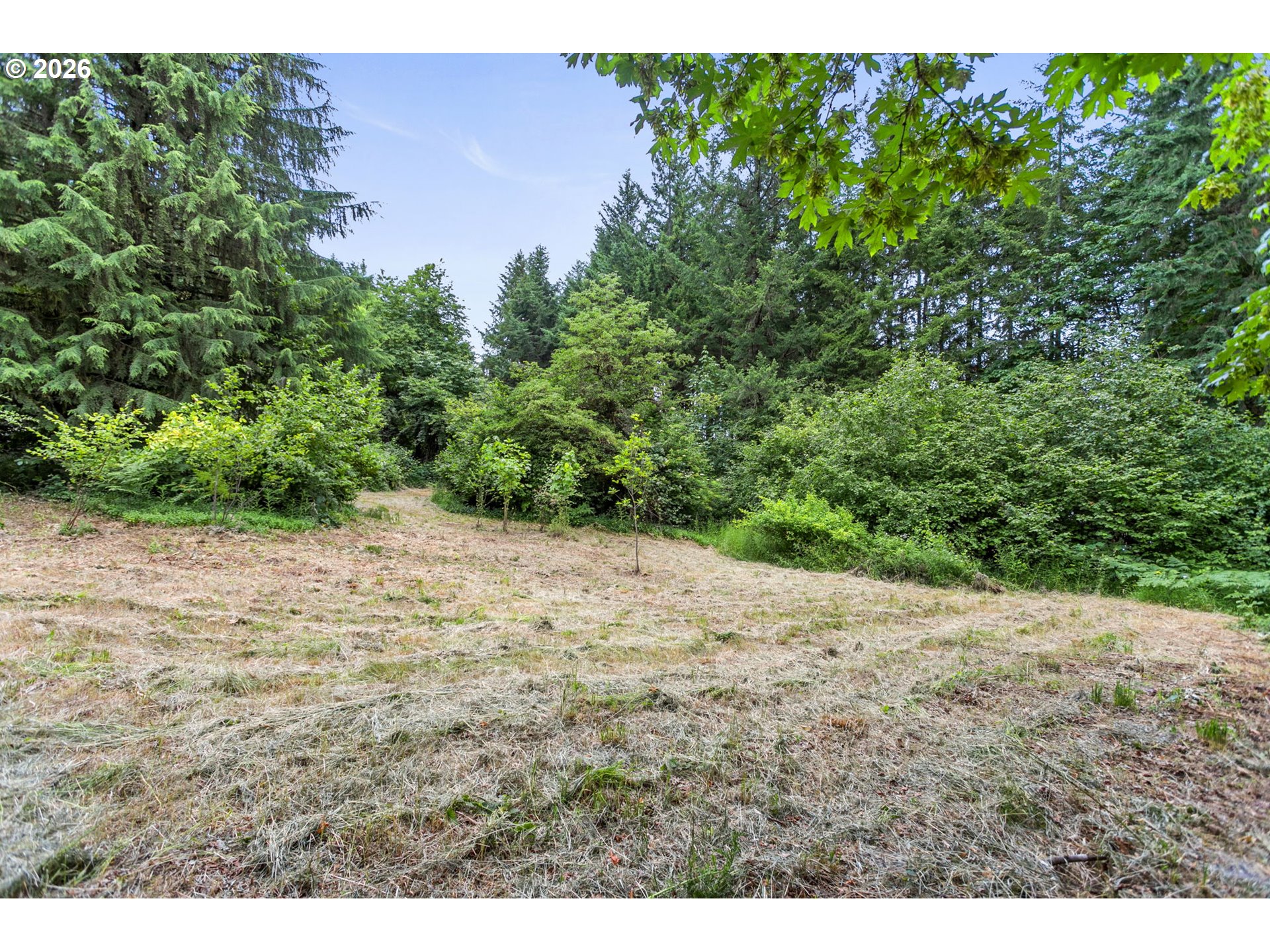 56570 Northwest Strassel Road Forest Grove, OR 97116 - Photo 10 of 21