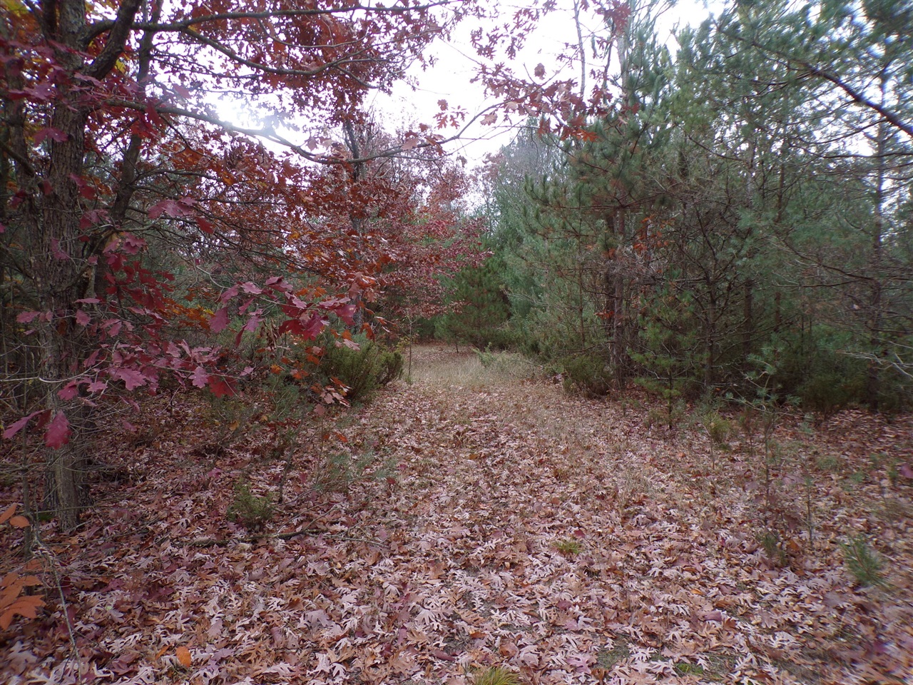 1961 West Hoague Road Free Soil, MI 49411 - Photo 1 of 36 Gallery Image 1