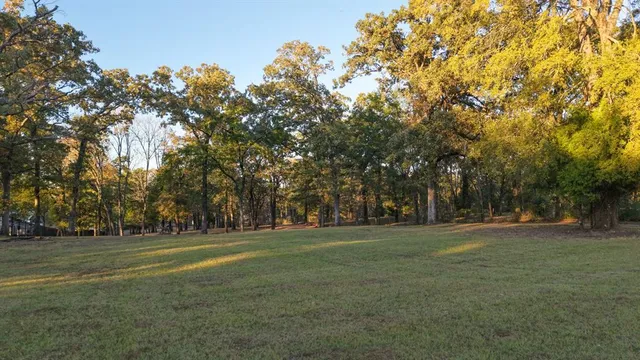 a view of a yard with a tree