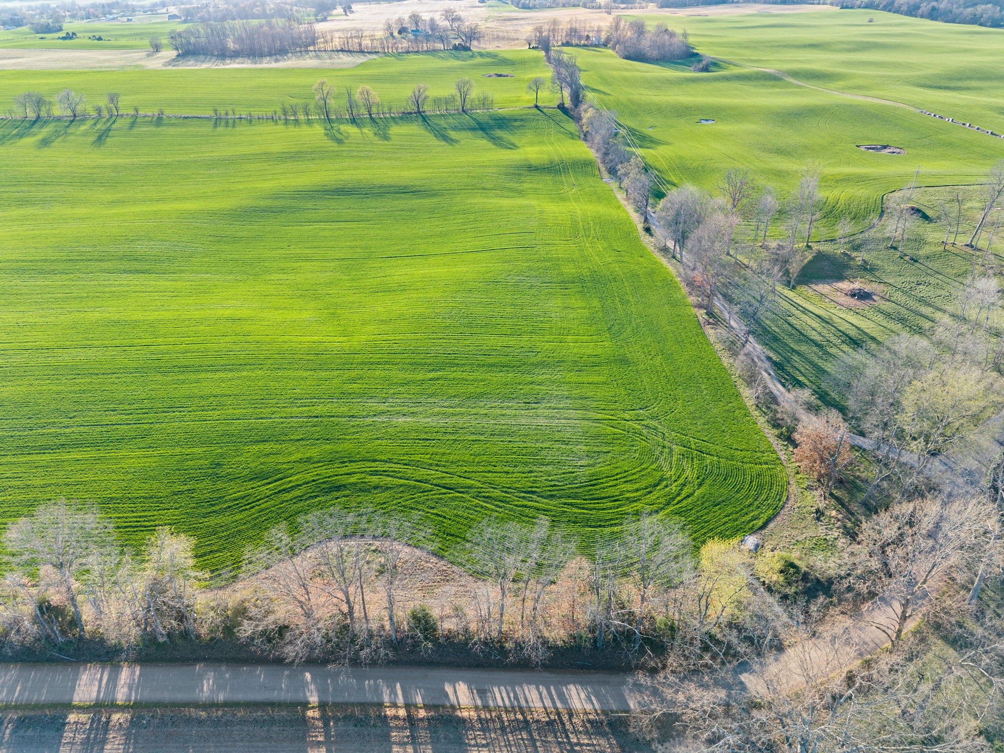 0 Wayman Dunn Road Springfield, TN 37172 - Photo 4 of 18