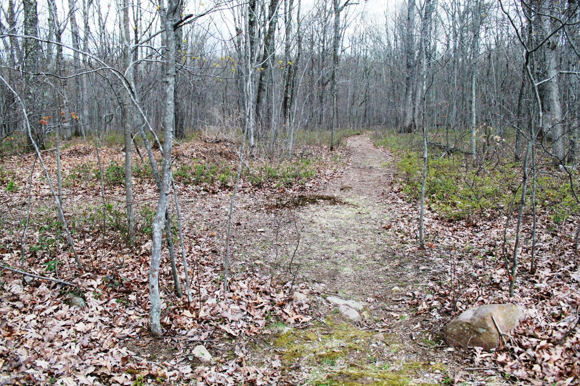 112 Hobby Acres Road Kunkletown, PA 18058 - Photo 45 of 50 Path Directly behind house to center of
