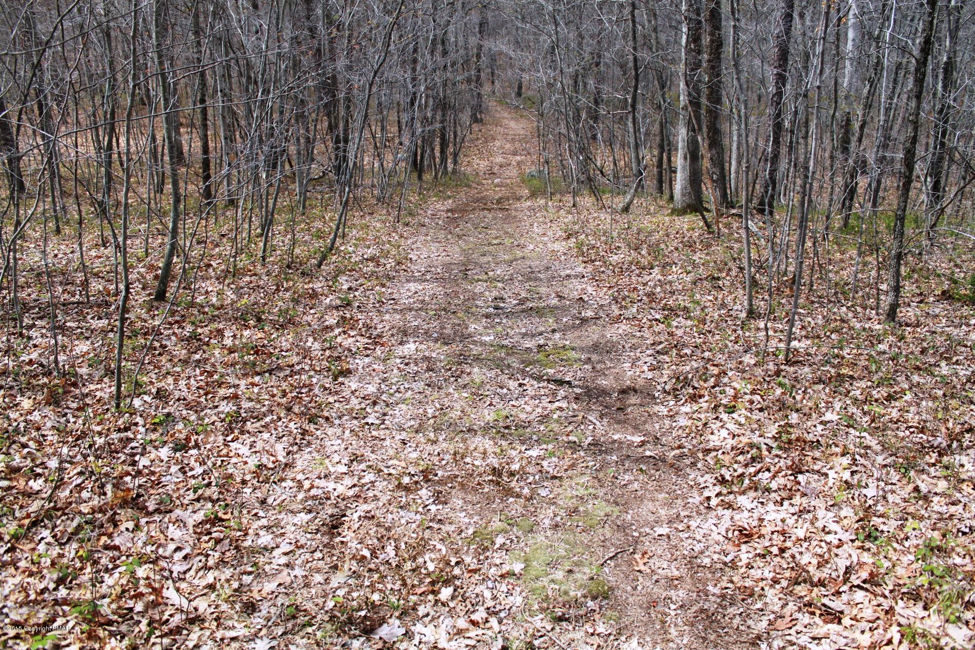 112 Hobby Acres Road Kunkletown, PA 18058 - Photo 46 of 50 Path from left market to right corner