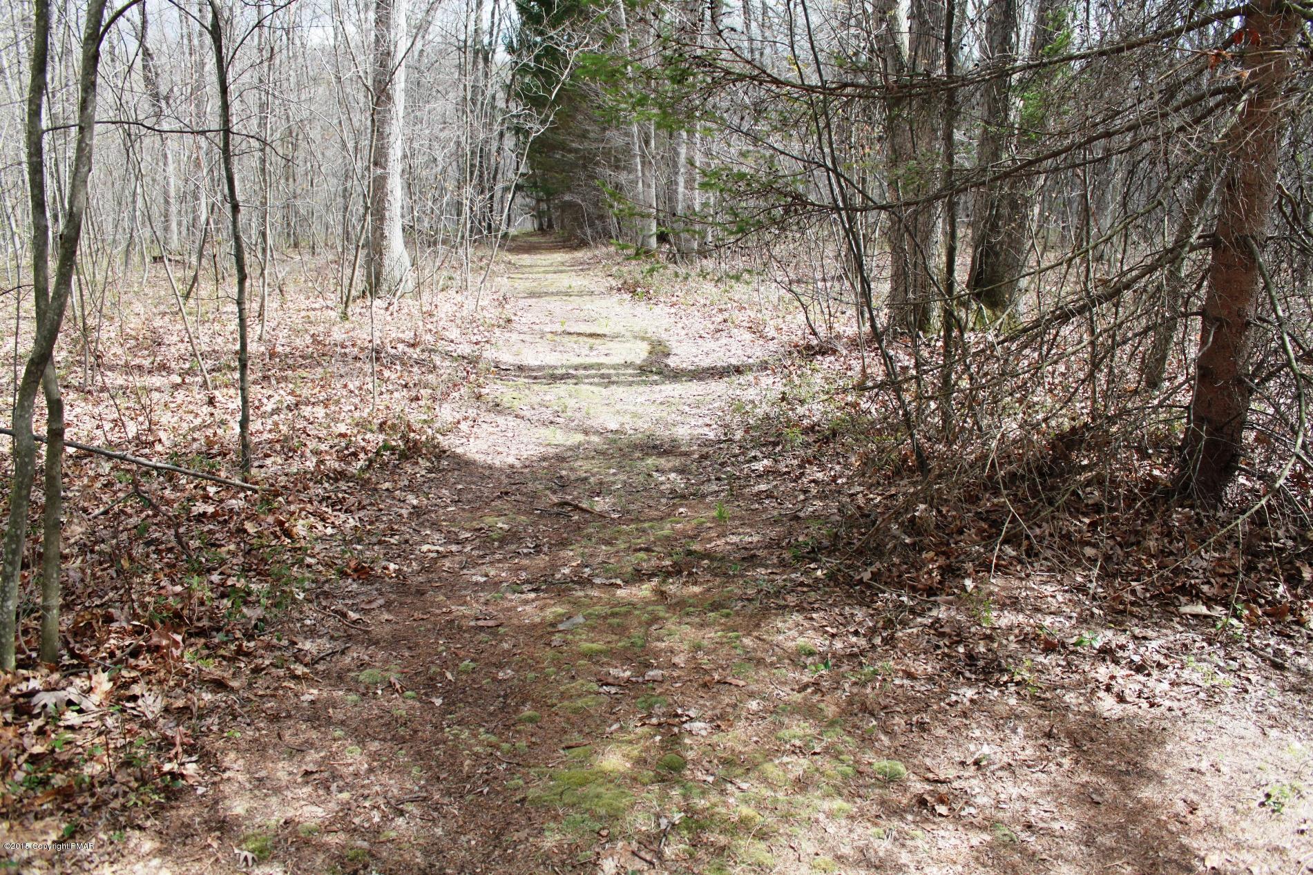 112 Hobby Acres Road Kunkletown, PA 18058 - Photo 47 of 50 Path to far left corner