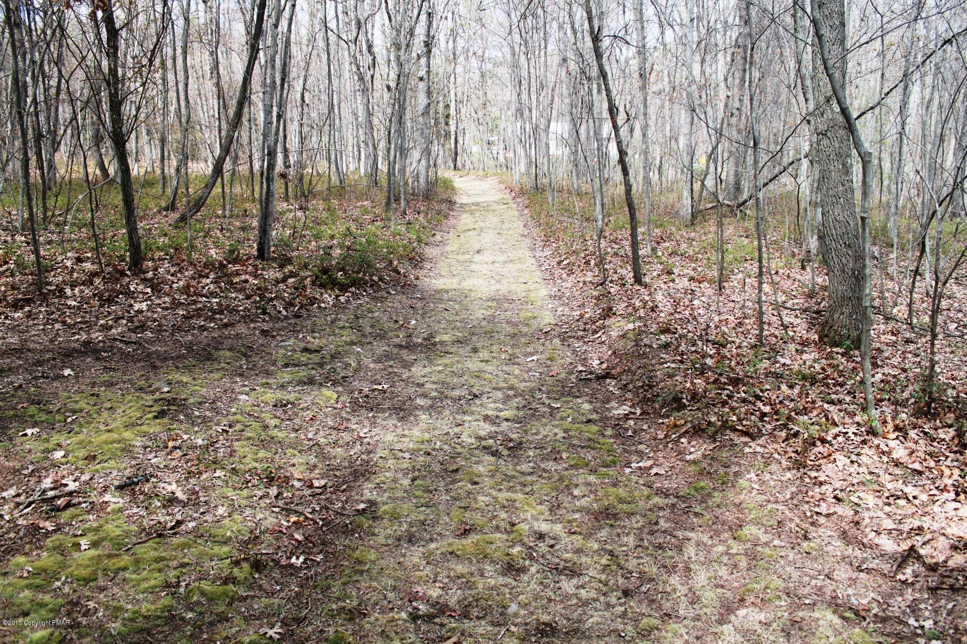 112 Hobby Acres Road Kunkletown, PA 18058 - Photo 48 of 50 Path to left side of property towards s