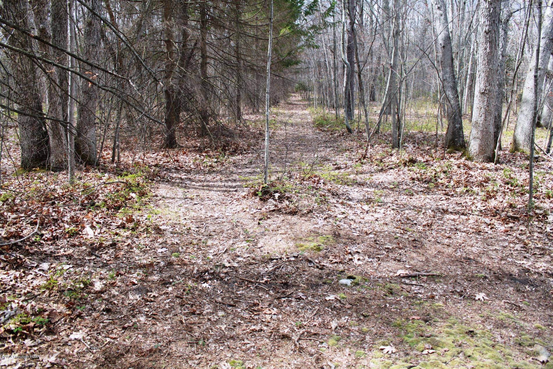 112 Hobby Acres Road Kunkletown, PA 18058 - Photo 49 of 50 Path to left side of proeprty